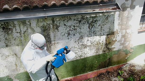 Mold Remediation service in Spring Grove, Spring Grove, PA